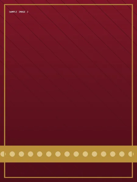 Sample Silk Saree — sample image 2